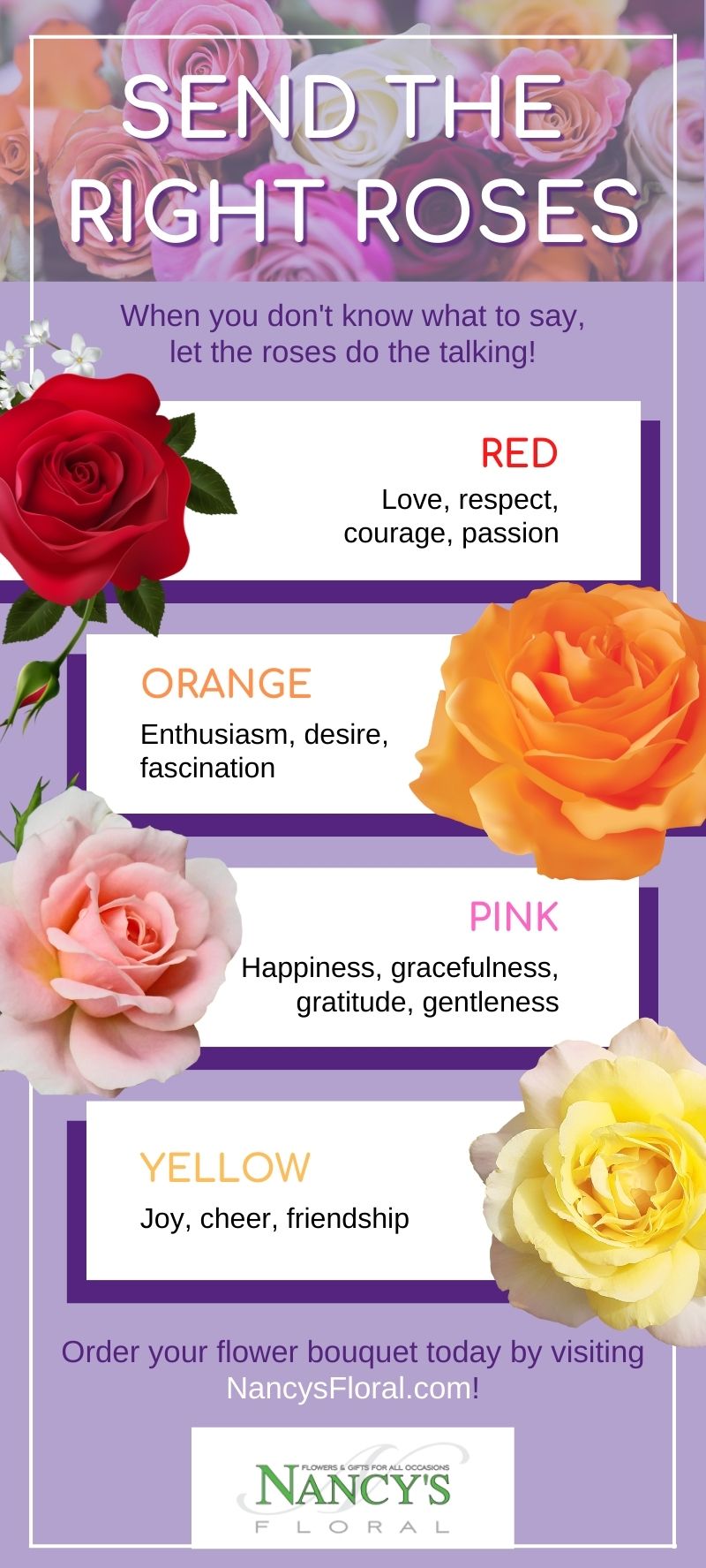M3920 Nancys Floral Inc Send The Right Roses Infographic 